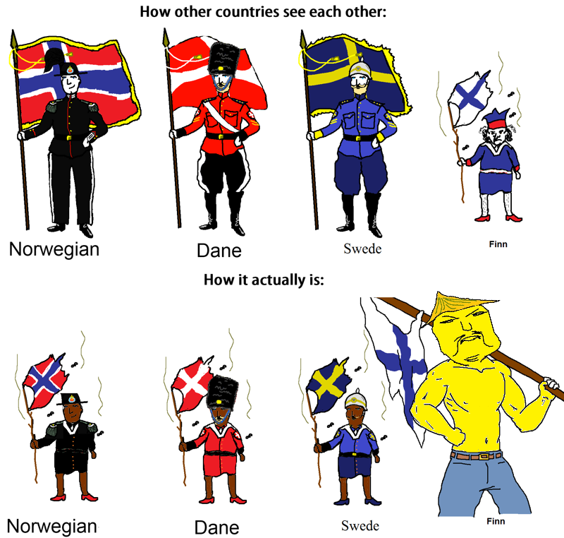 Nordics | 4chan Flag Bearers | Know Your Meme