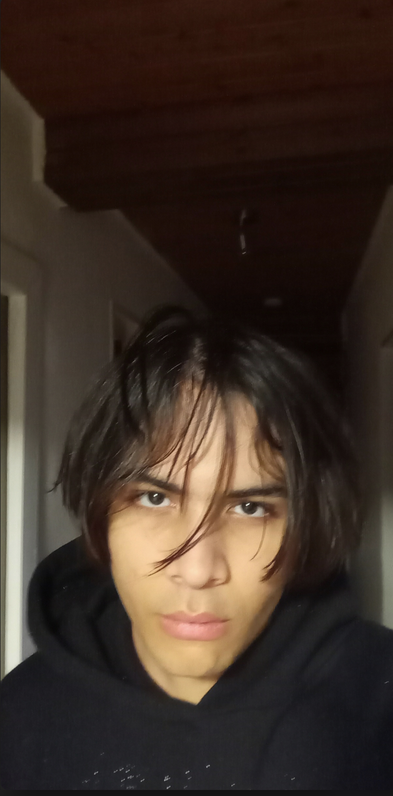 3876529_1704806796677.jpeg