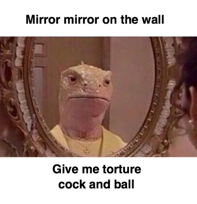 Mirror mirror on the wall नलव Give me torture cock and ball Head Lizard Reptile Skin Adaptation Scaled reptile Photo caption Gecko