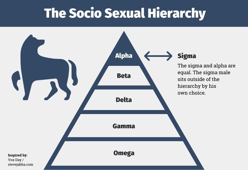 The-Socio-Sexual-Hierarchy.jpg