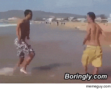 giphy.gif