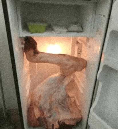 giphy.gif