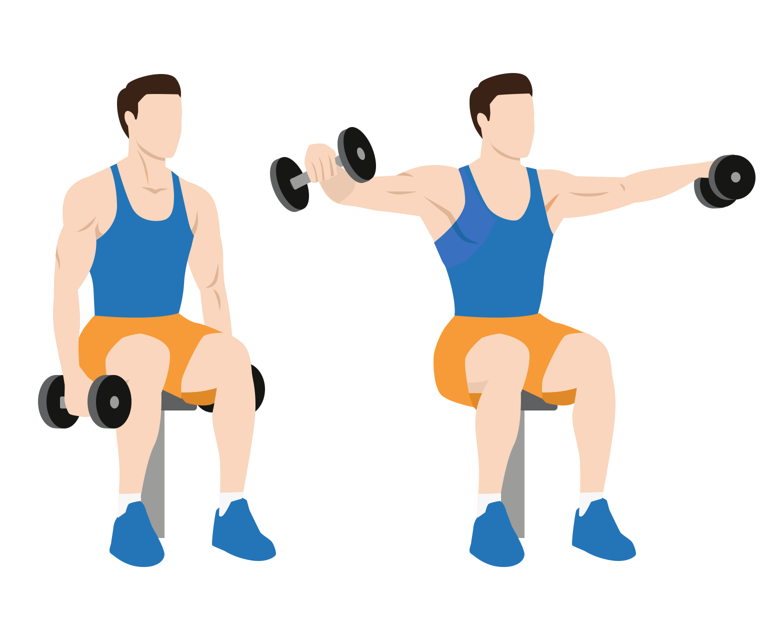 seated-lateral-raises.png