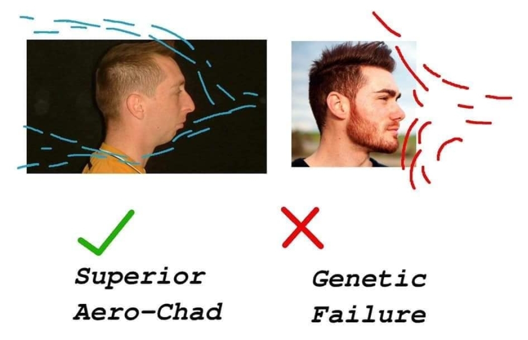 I knew I was superior : r/memes