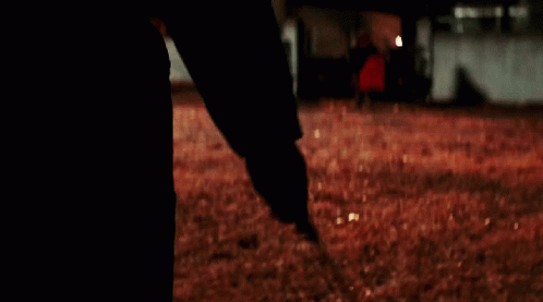 a person holding a large knife in a field at night