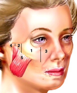 www.facialplastic.theclinics.com