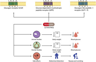 www.sciencedirect.com