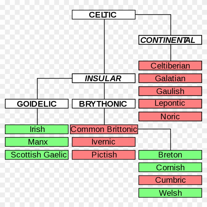 366-3660464_celtic-language-family-tree-hd-png-download.png