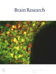 www.sciencedirect.com