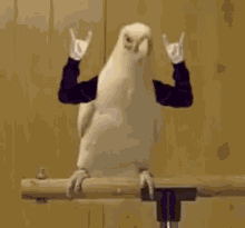 metal-headbang.gif