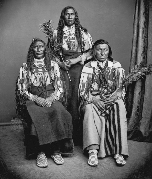 American Indians : Mo Mukh Pi Tche, Thin Belly, Leads The Old Dog - Crow  1873. | Native american indians, Crow indians, Native american history