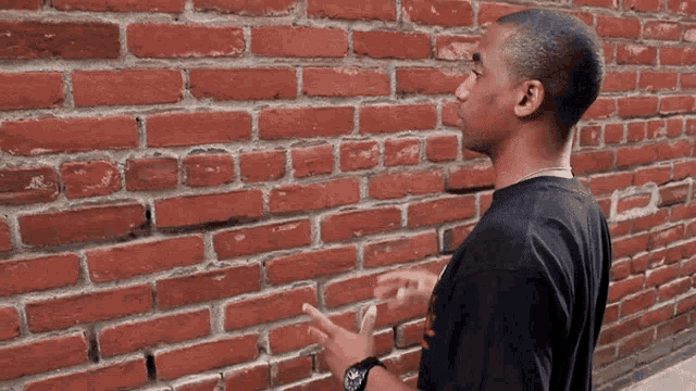 4201236_yapping.gif