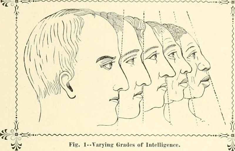 intelligence_sketches_racist.jpg