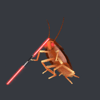 Meme Cockroach GIF by MOODMAN