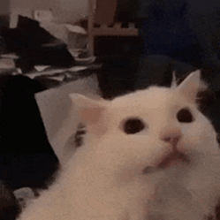 Ht3vfbR.gif