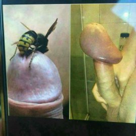 DkIY0zdXoAAJp11.jpg