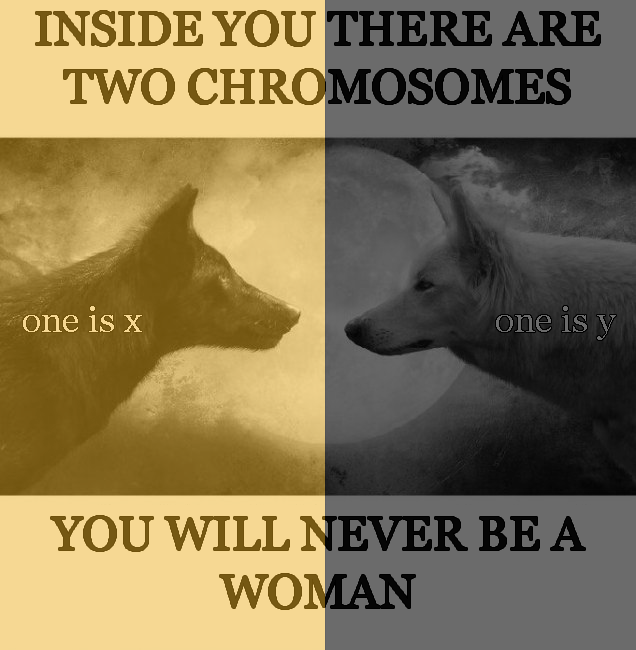 LNtzWx1.png
