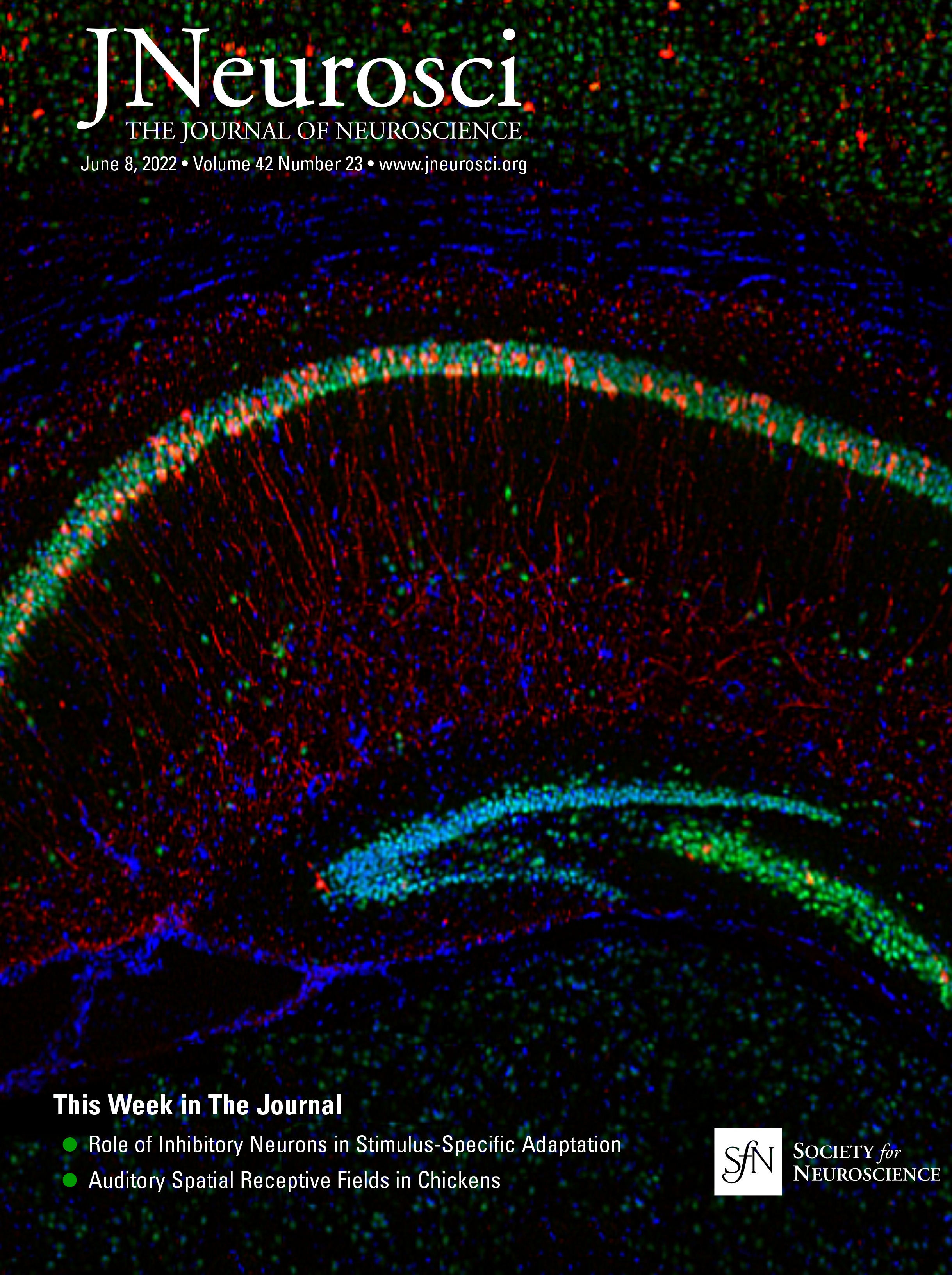 www.jneurosci.org