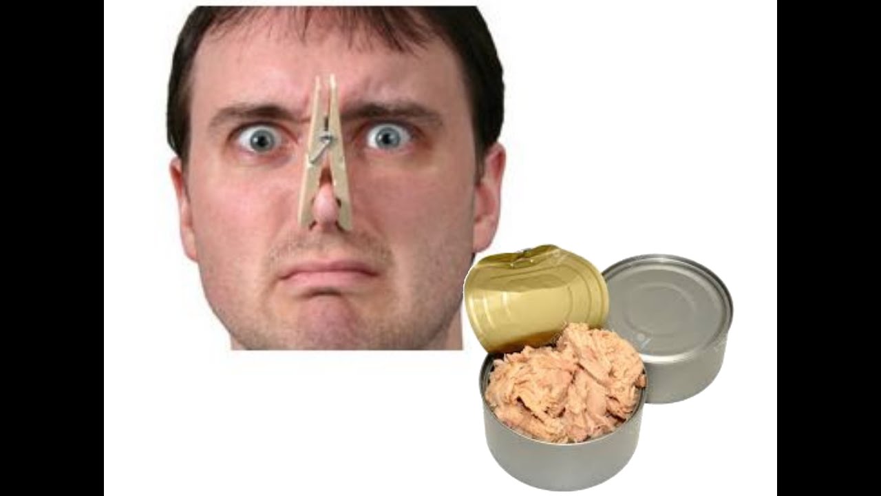 maxresdefault.jpg