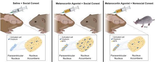 www.sciencedirect.com