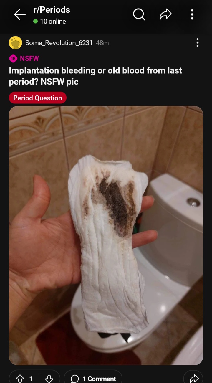 Screenshot 20240504 161041 Reddit