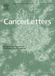 www.sciencedirect.com