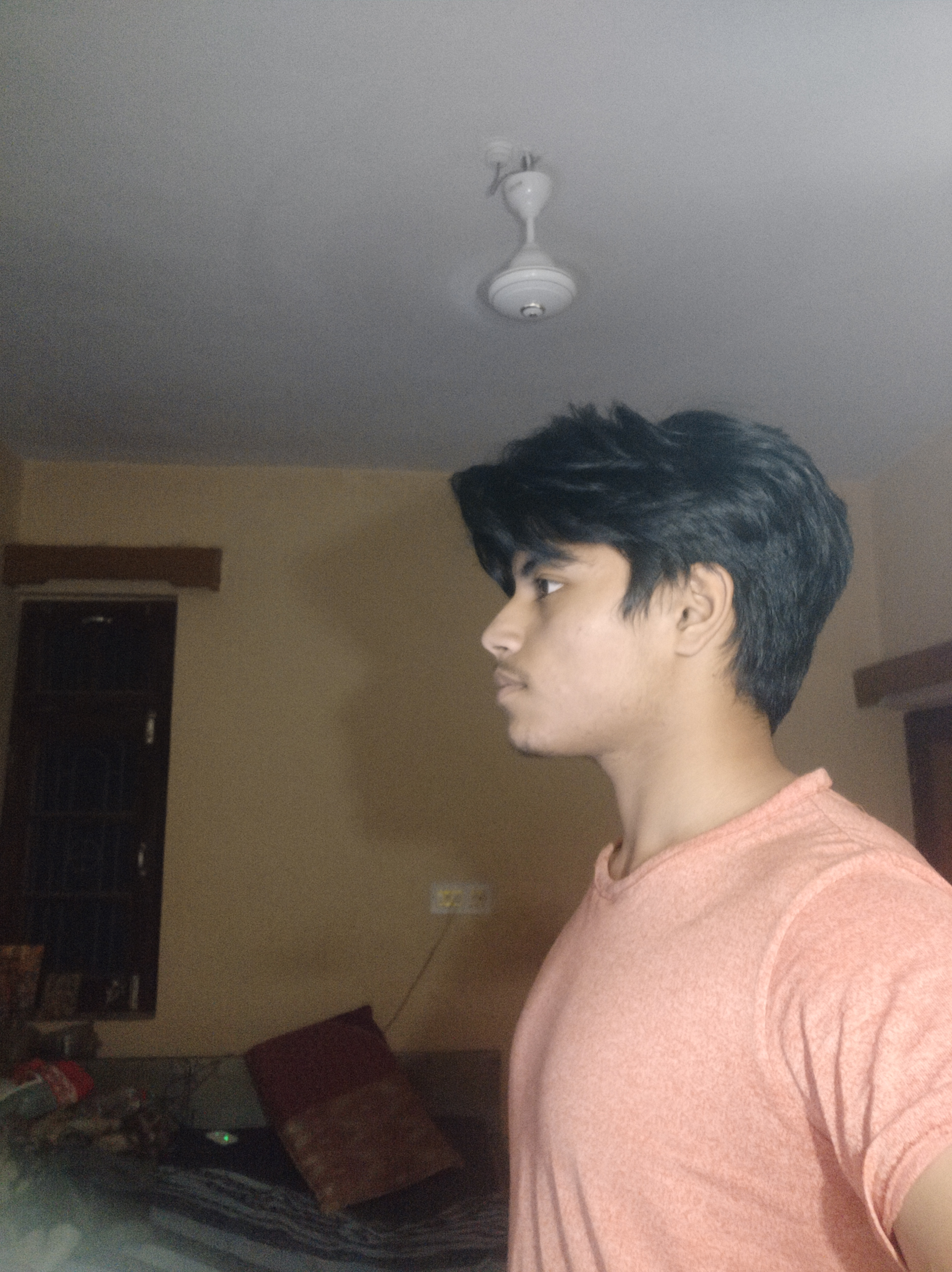 ibb.co