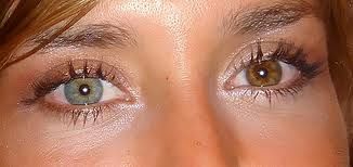 d9ea5196b34db3bd86ea205af0d8af36.jpg