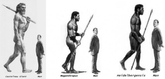 Fossil Giants: Ancient Men Over 7 ft. Tall | Ancient humans, Human giant,  Giants