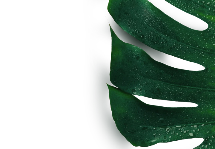 skinorac.com