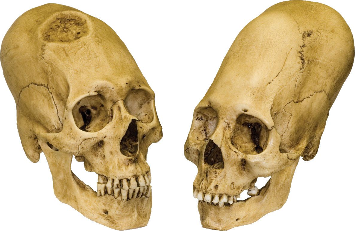 www.britannica.com