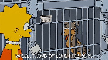 Lisa Simpson GIF by The Simpsons