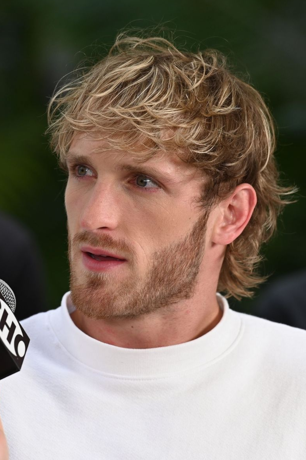 logan-paul-hair-in-mullet.png