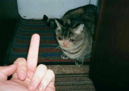 msfdkprjtxr01.jpg