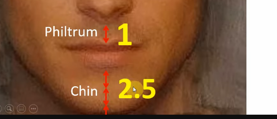 1759427653457