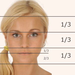 faceproportions-front-facialthirds.jpg