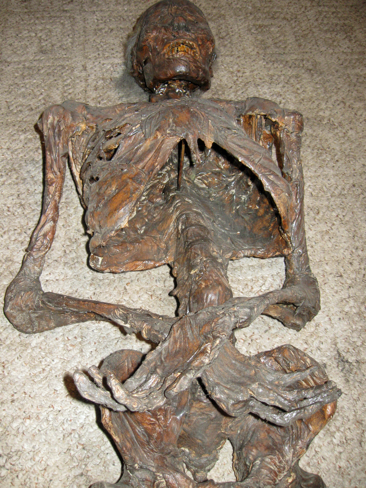 s-l1600.jpg