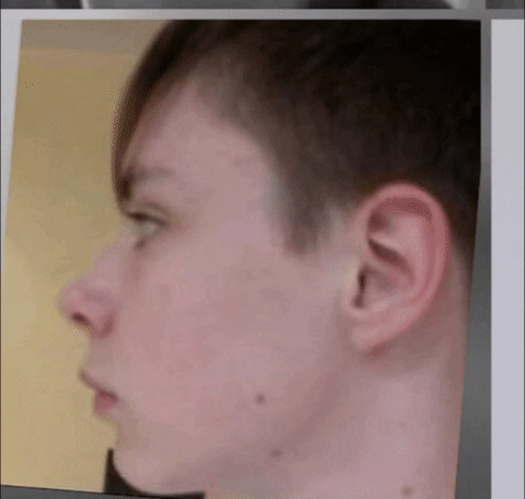 giphy.gif