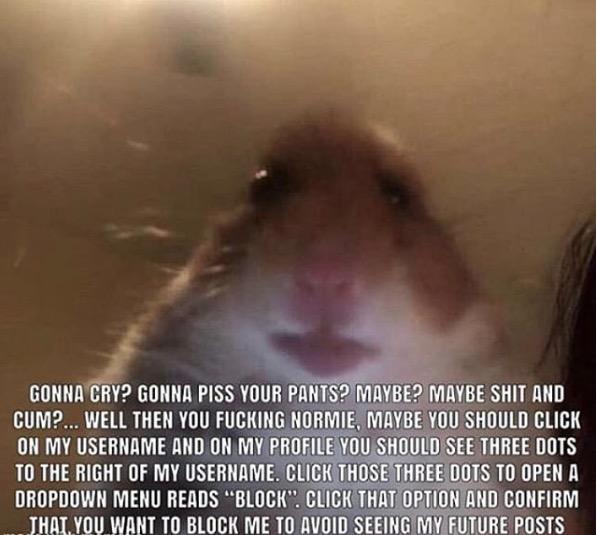 GONNA CRY? GONNA PISS YOUR PANTS? MAYBE? MAYBE SHIT AND CUM?... WELL THEN YOU FUCKING NORMIE, MAYBE YOU SHOULD CLICK ON MY USERNAME AND ON MY PROFILE YOU SHOULD SEE THREE DOTS TO THE RIGHT OF MY USERNAME. CLICK THOSE THREE DOTS TO OPEN A DROPDOWN MENU READS BLOCK. CLICK THAT OPTION AND CONFIRM THAT YOU WANT TO BLOCK ME TO AVOID SEEING MY FUTURE POSTS