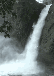 beauty-aww.gif