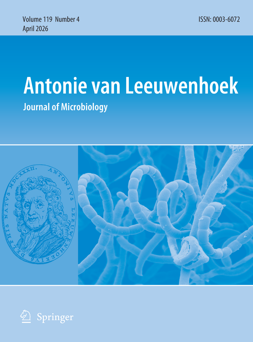 link.springer.com