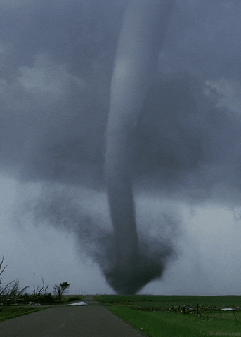 Tornado Alley Storm GIF by Head Like an Orange - Find & Share on GIPHY