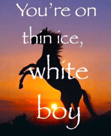 a picture of a horse with the words  you 're on thin ice white boy  above it