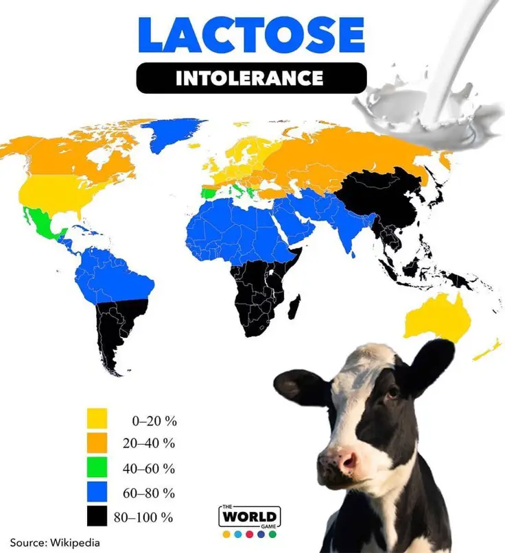 Lactose-intolerance.jpeg