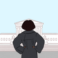Joe Biden Judge GIF by Creative Courage