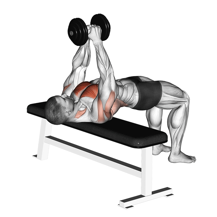 dumbbell-pullover.gif