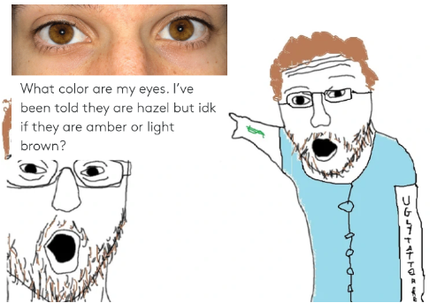 tsHOFGO.png