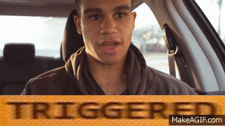 N561iv.gif