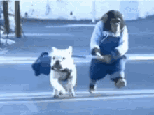 ape-dog.gif
