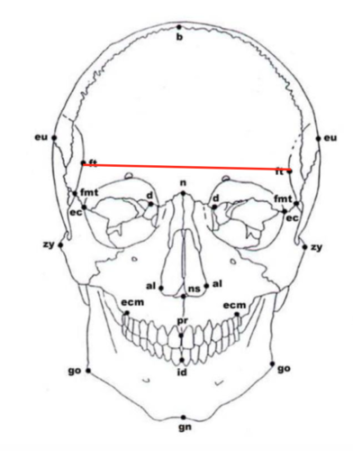 ICd1.78GSCbo0cY05nmsxQ.png